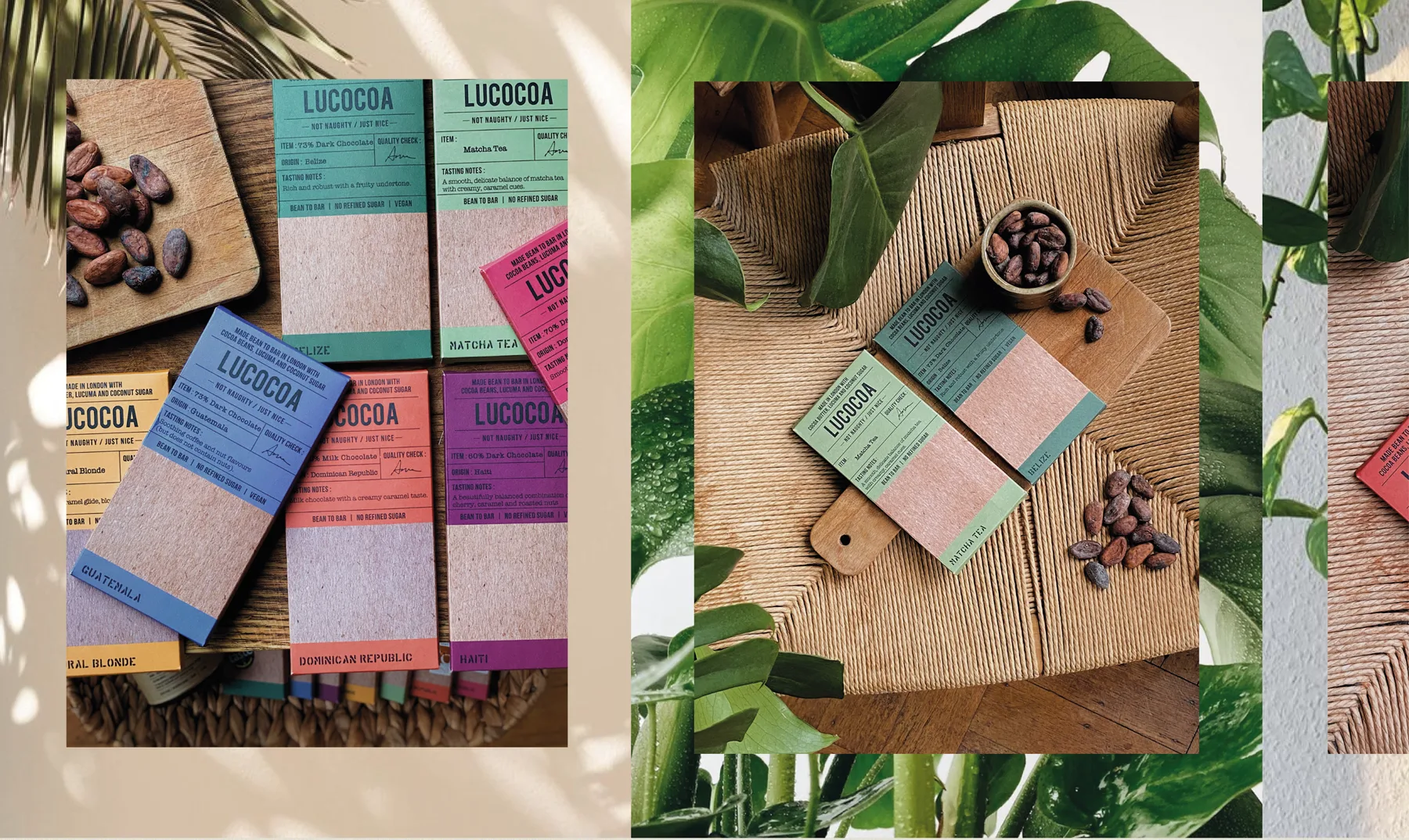 Lucocoa chocolate bars with cocoa beans and greenery.