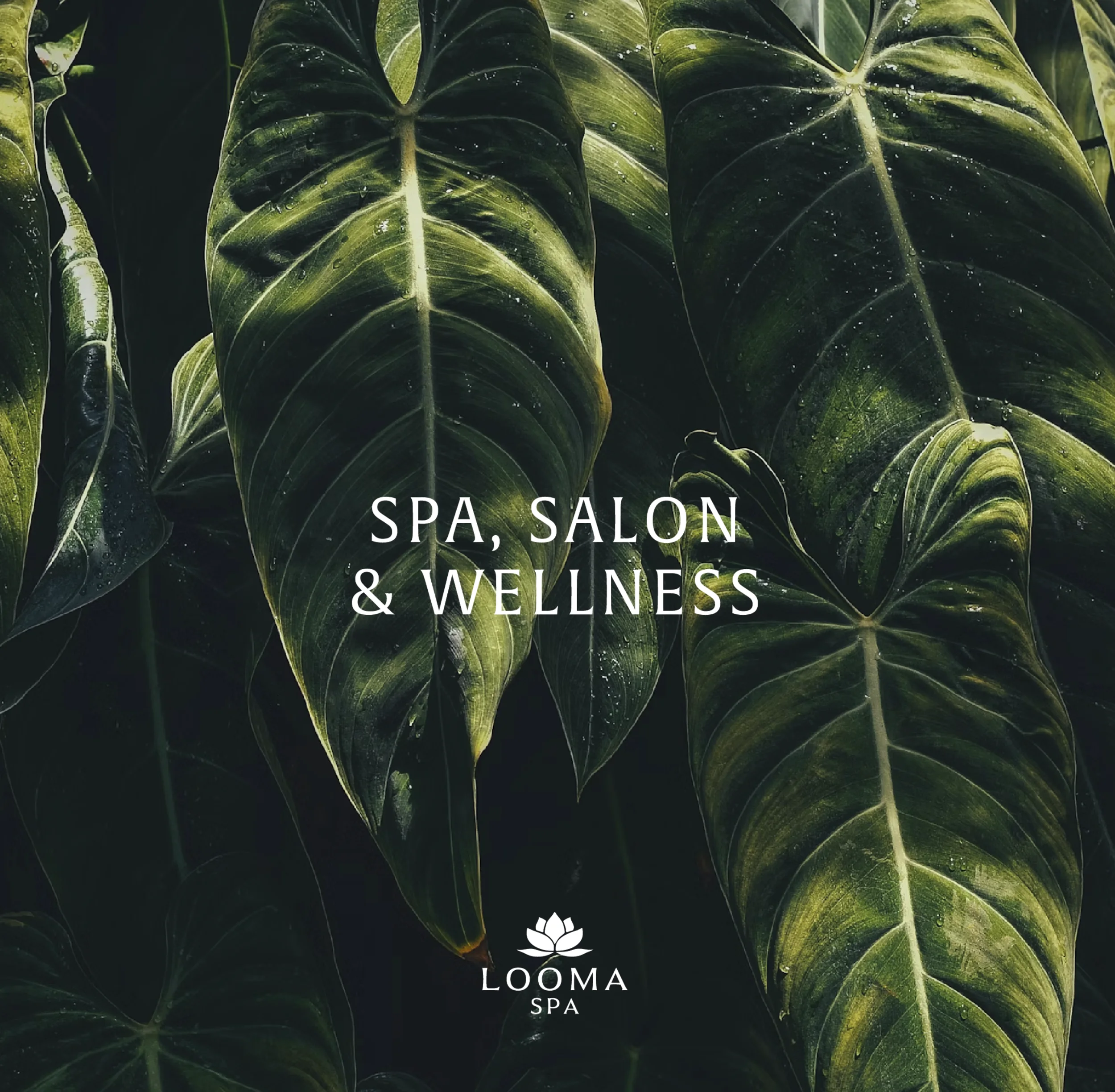 Looma Spa wellness message over deep green tropical leaves.